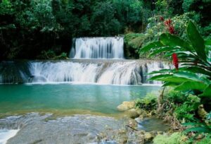 Black River Safari and YS Falls
