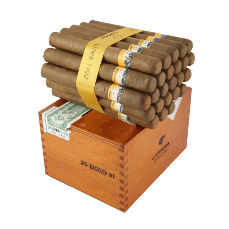 Cohiba Siglo VI