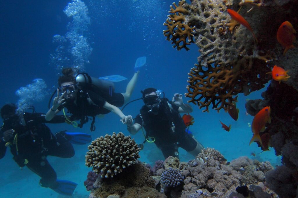 snorkeling near coral reefs